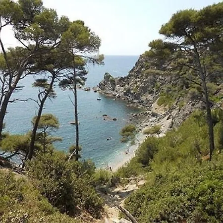 Rouveau * Six-Fours-les-Plages